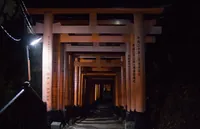 2025-02-02-06_37_38 _MG_9707